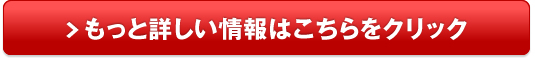 スカイラインgtr r34 中古車 相場 価格販売サイトへ